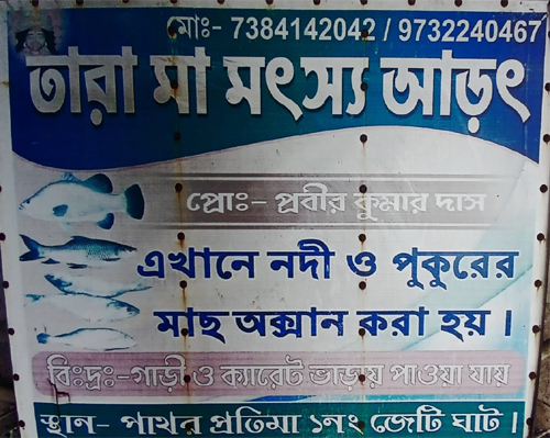 Matshya arot manufacturer